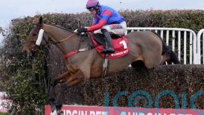 Mr Vango given Eider entry after Sandown misfire