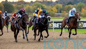 Safari swoops late for Winter Derby honours