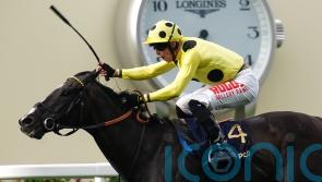 More overseas action planned for Neom Turf star Royal Champion