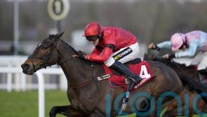 Arkle beckons for Pendil winner Jax Junior