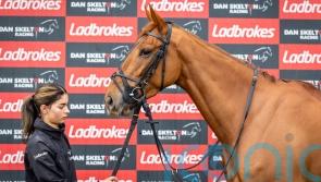 Maestro Conti and Panic Attack exciting Skelton