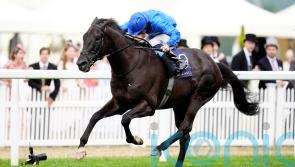 Rebel&rsquo;s Romance ready to roll back the years again