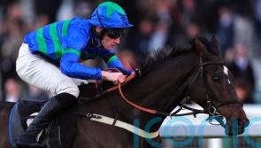 Bass Hunter all set for Champion Bumper bid