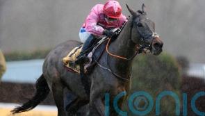 Go Dante aiming for record third Imperial Cup success