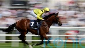 Meydaan given World Cup aim after Super Saturday success