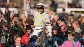 Lossiemouth leads nine contenders for Champion Hurdle crown