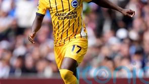 Yankuba Minteh on target as Brighton beat Sunderland