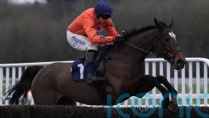 Panic Attack ran &lsquo;beautiful National trial&rsquo; at Cheltenham