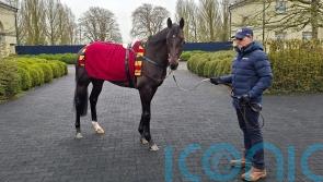 &lsquo;Unbelievable&rsquo; Albert Einstein the leading Guineas hope for Aidan O&rsquo;Brien