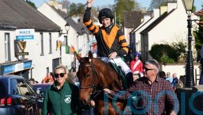 Patrick Mullins relishing Nick Rockett reacquaintance