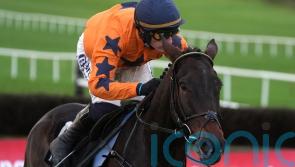 Fairyhouse or Punchestown next for Final Demand