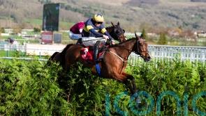 Cross-country hero Final Orders poised to take National chance