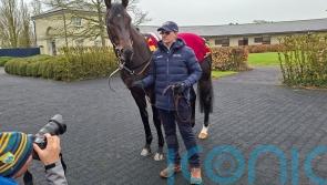 Albert Einstein ready for surprise return to action in Gladness Stakes at Curragh