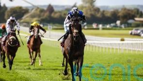 Al Riffa part of strong Dubai Gold Cup bid for Joseph O&rsquo;Brien