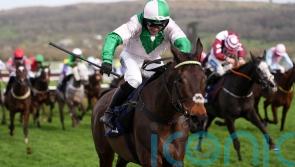 Wilful could be handed Grade One mission at Punchestown