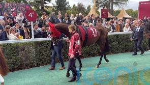 All eyes now on Daryz as Arc hero nears return