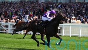 Albert Einstein and Gstaad taken out of Guineas due to clerical error