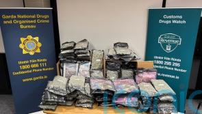 Two arrested as cannabis worth one million euro seized in Co Louth