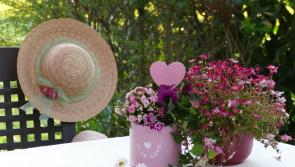 10 things to do in Limerick for Mother's Day 