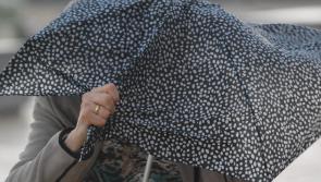 Met &Eacute;ireann issues weather warning for Limerick as Storm Agnes approaches