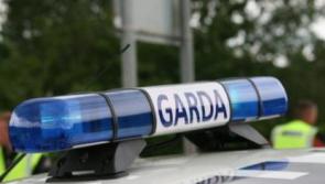 Garda&iacute; seize drugs worth almost &euro;700,000, three arrested in connection