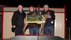 Toolmaker Beach best in A3 525 final in Limerick Greyhound Stadium