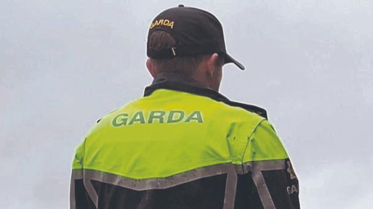BREAKING: Over 30 new garda&iacute; to be assigned to Limerick stations