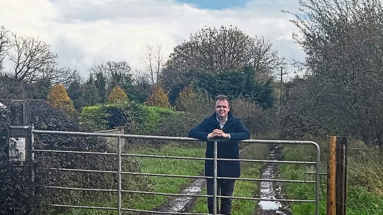 Plea to designate homes as 'affordable' at new development in Limerick village