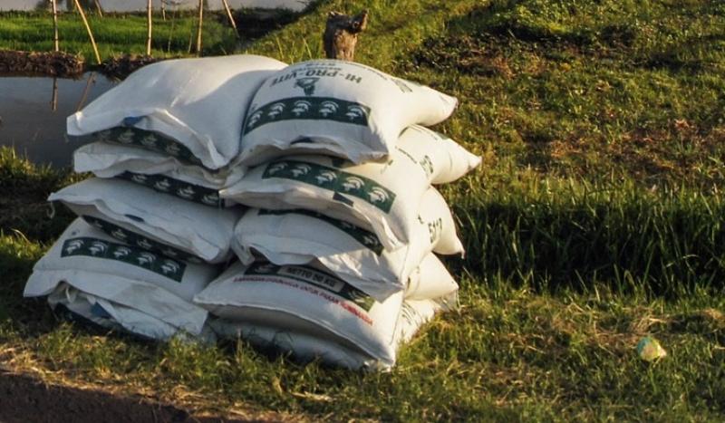134% increase in price of fertiliser since last year, CSO reveals