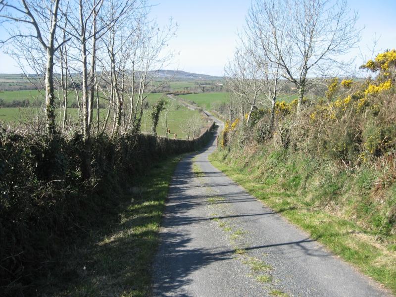 Govt issues reminder not to cut or burn hedgerows between March 1 and August 1 