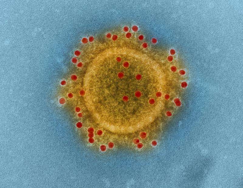 Luke O'Neill reveals how to tell if you have new Covid-19 variant before Christmas