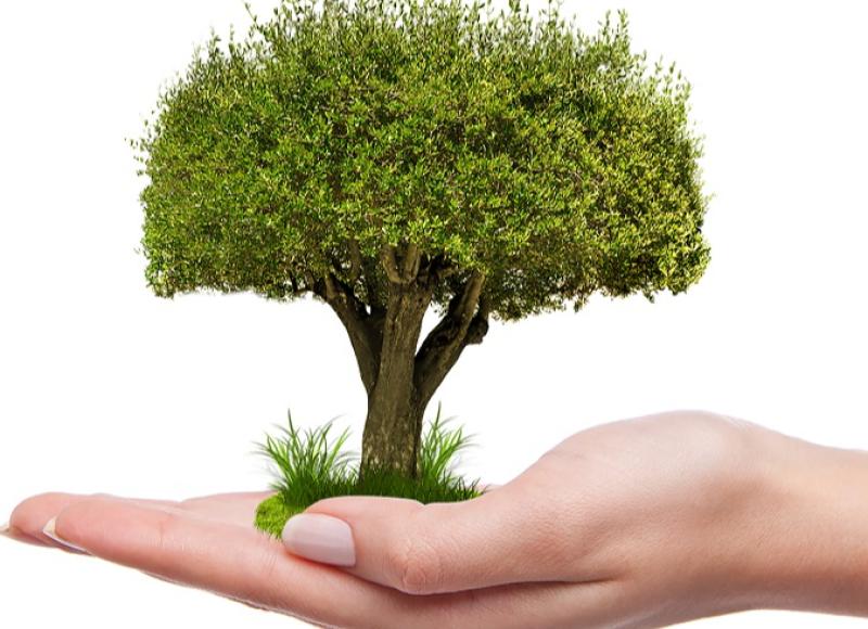 Project launched to help  finance third-level education for asylum seekers in Direct Provision 