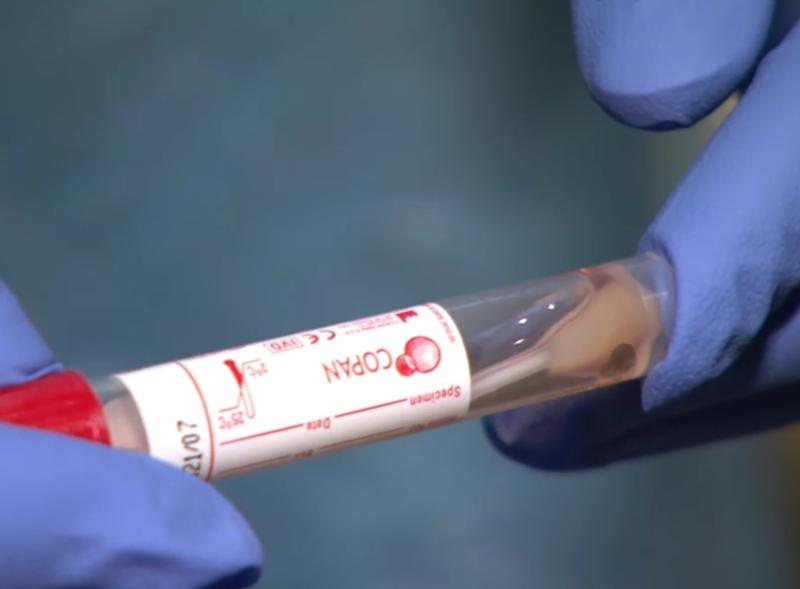 New CMO urges Irish public to prepare for winter as number of Covid infections rise