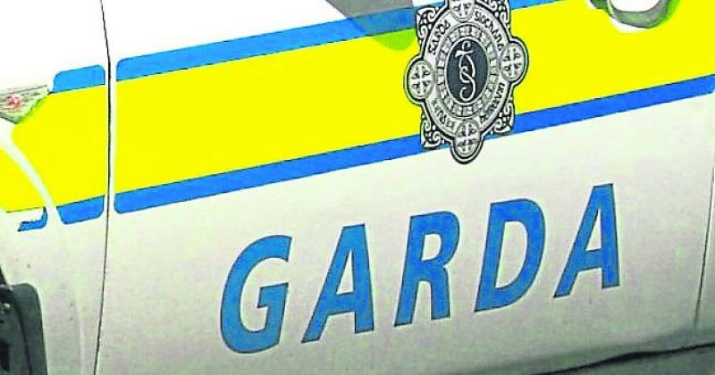 Garda&iacute; appeal for witnesses&nbsp;to housing estate collision between car and Garda vehicle