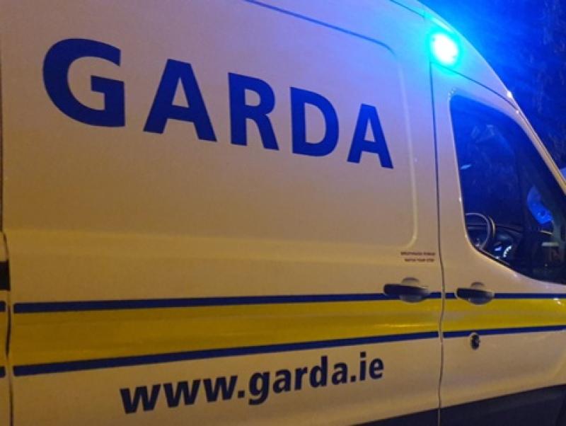 Man arrested as Garda&iacute; appeal for information after discovery of a body in Wexford