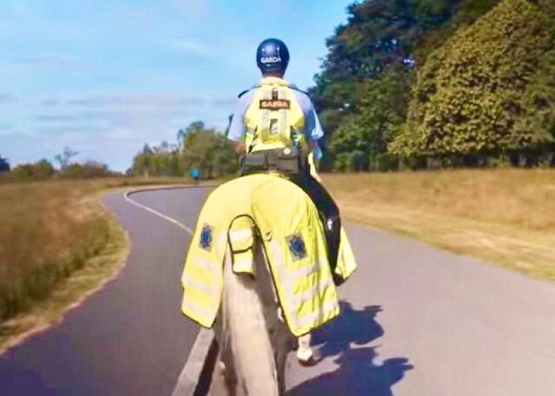 Garda&iacute; and RSA issue advice to motorists about horses on roads