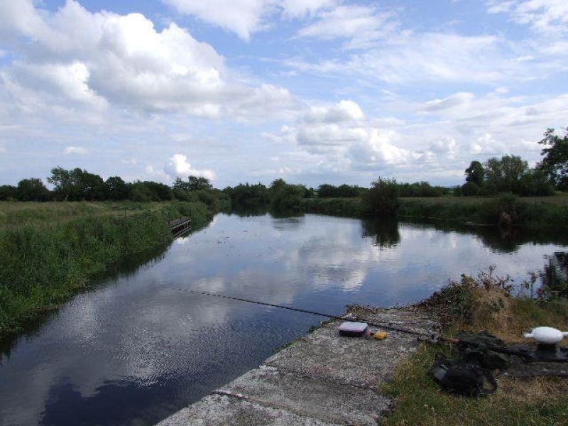 Invasive alien species in Irish waterways to be tackled in new campaign