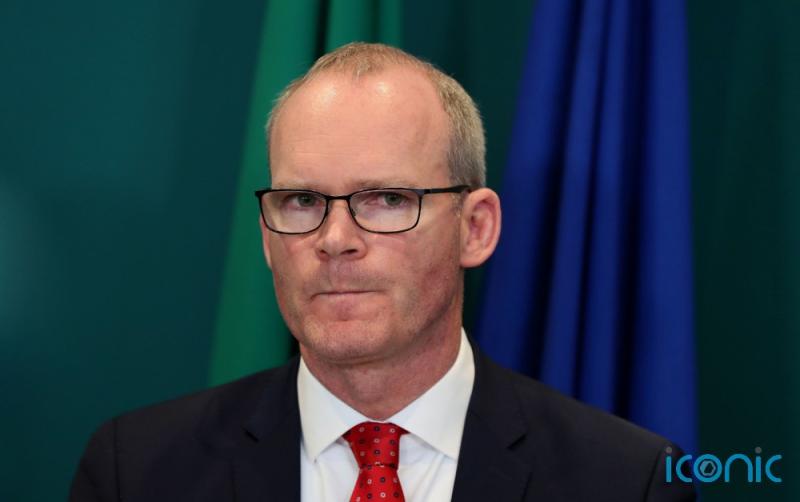 'Likely to be a war crime' - says Coveney of Russian invasion during trip to Ukrainian capital