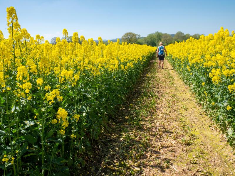 5 medication-free tips to tackle hay fever 