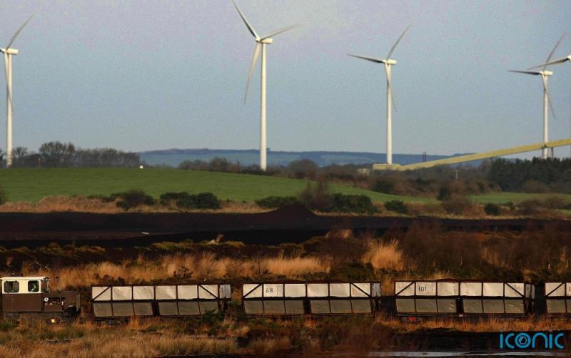 'We must think long-term' - Taoiseach calls for protection of biodiversity in Ireland 