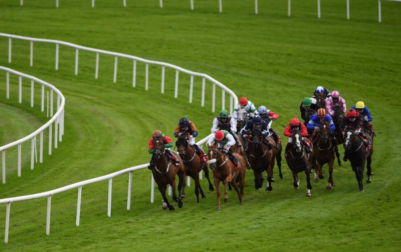 RACING: Your guide to day two of the Galway Festival