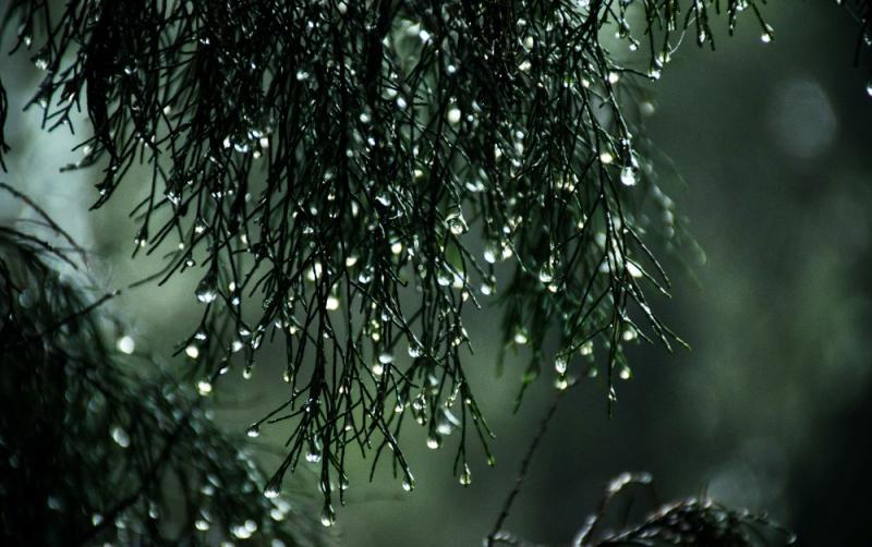 WEATHER WATCH: A wet and windy weekend ahead as status yellow rainfall warning issued