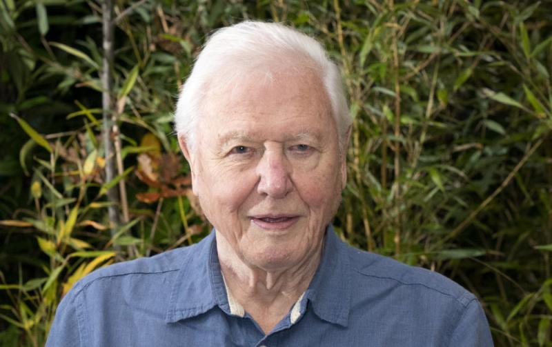 'The stories are limitless' - Netflix reveals new 'stunning' nature documentaries