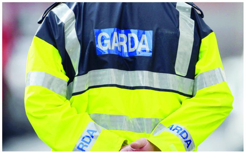 Garda&iacute; renew appeal after female pedestrian is killed 