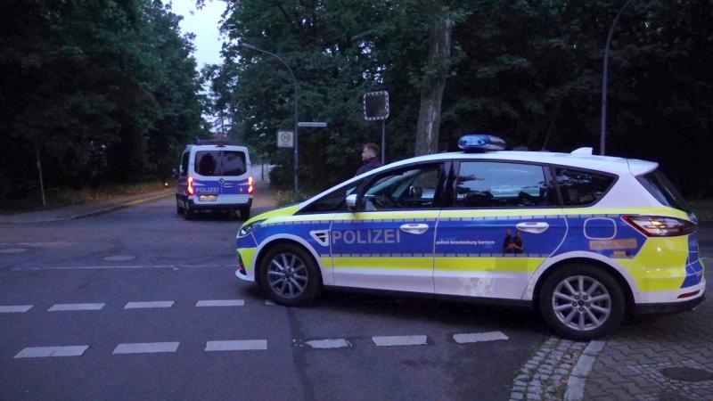 German police on the hunt for lioness loose in Berlin