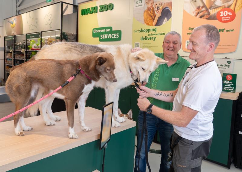 New campaign launched to help rescue and rehome Irish husky dogs