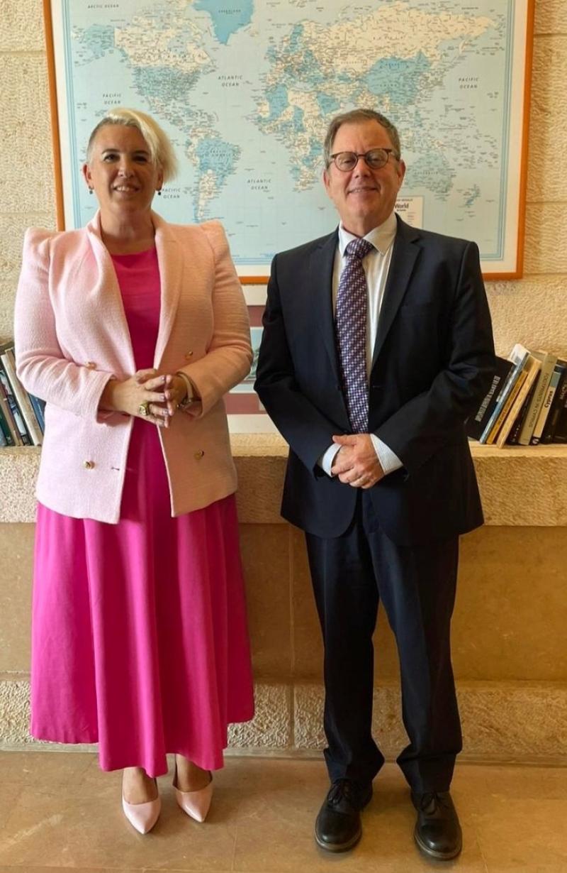 Irish ambassador to Israel expresses 'surprise' over criticism of social media post 