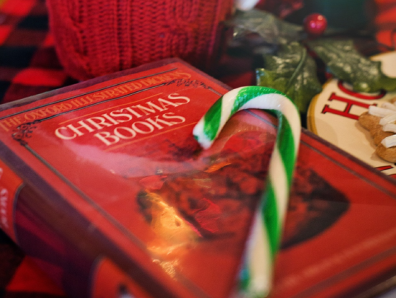 GIFT GUIDE: 10 terrific children's books by Irish authors to buy this Christmas