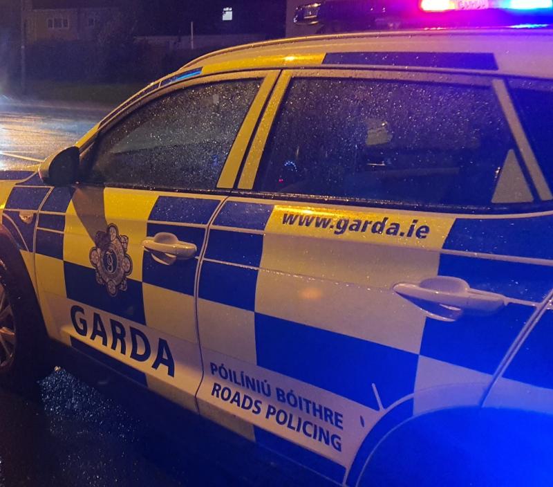 Garda&iacute; make arrest after seizing machete, drugs and firearms during search
