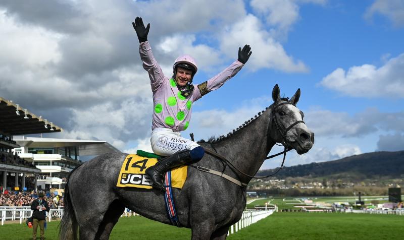 LIVE BLOG: Cheltenham Day 1 tips, results, reaction and highlights 